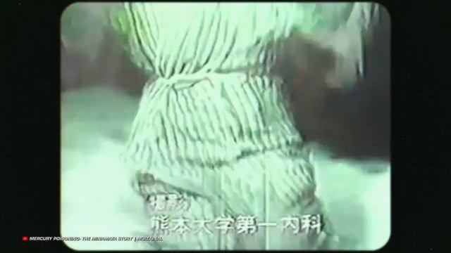 ЧЕМ ОТРАВИТЬСЯ ЧТОБЫ ВЫЖИТЬ?  ТОПЛЕС