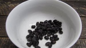 Салат с фасолью говядиной и маринованным огурцом