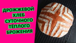 Дрожжевой хлеб СУТОЧНОГО⏳ БРОЖЕНИЯ: новый эксперимент. {ВЫБРАЖИВАЮ ТЕСТО ДОЛГО, ПОВЫШАЮ ПОЛЕЗНОСТЬ}