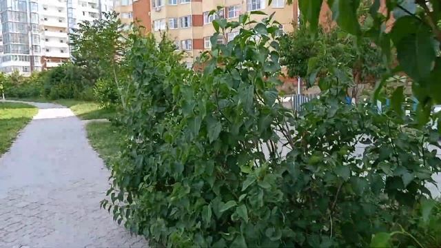 #Анапа +33 смотреть онлайн