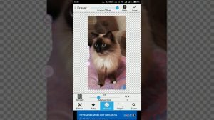 Обзор программы для обрезания объектов из Фото.