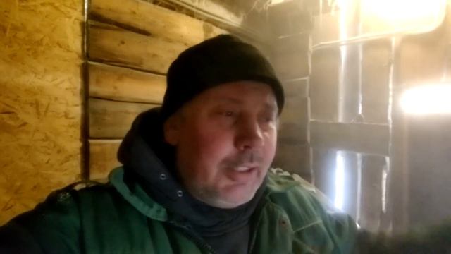 Живые бактерии-подстилка для свиней. Пытаюсь ее реанимировать для 10 свиней.  "Мое Подворье"