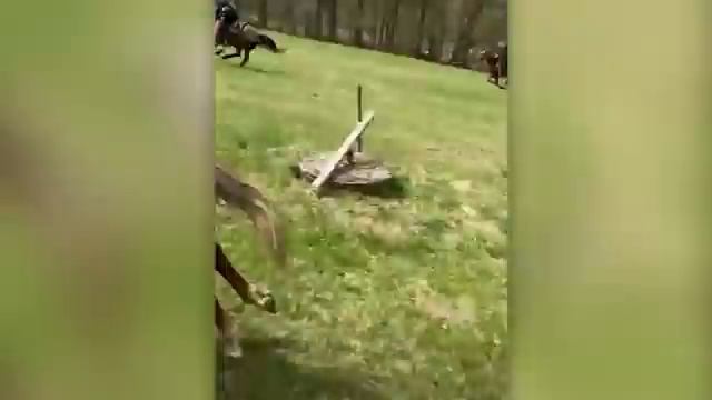 САМЫЕ НЕЛЕПЫЕ МОМЕНТЫ смотреть онлайн