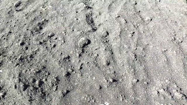 Почвенная смесь и дëрн. Как сделать. смотреть онлайн