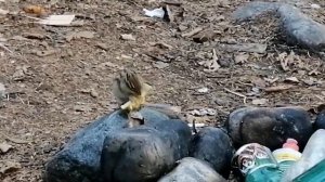 Заездка в тайгу на рев,рыбалка, хариус.