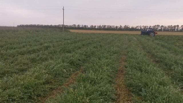 Заготовка сена.