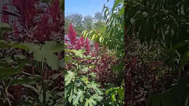 28 июля 2023 г. смотреть онлайн