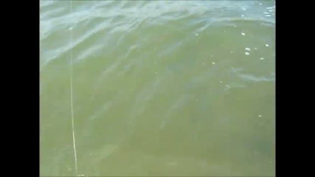 Окунек на стримерок смотреть онлайн