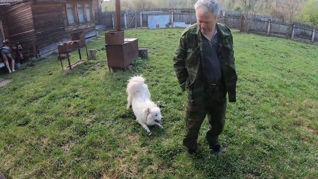Подпорог 2020 04
