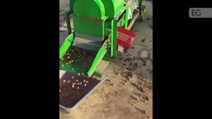 Машина для очистки плюски фундука TL-10