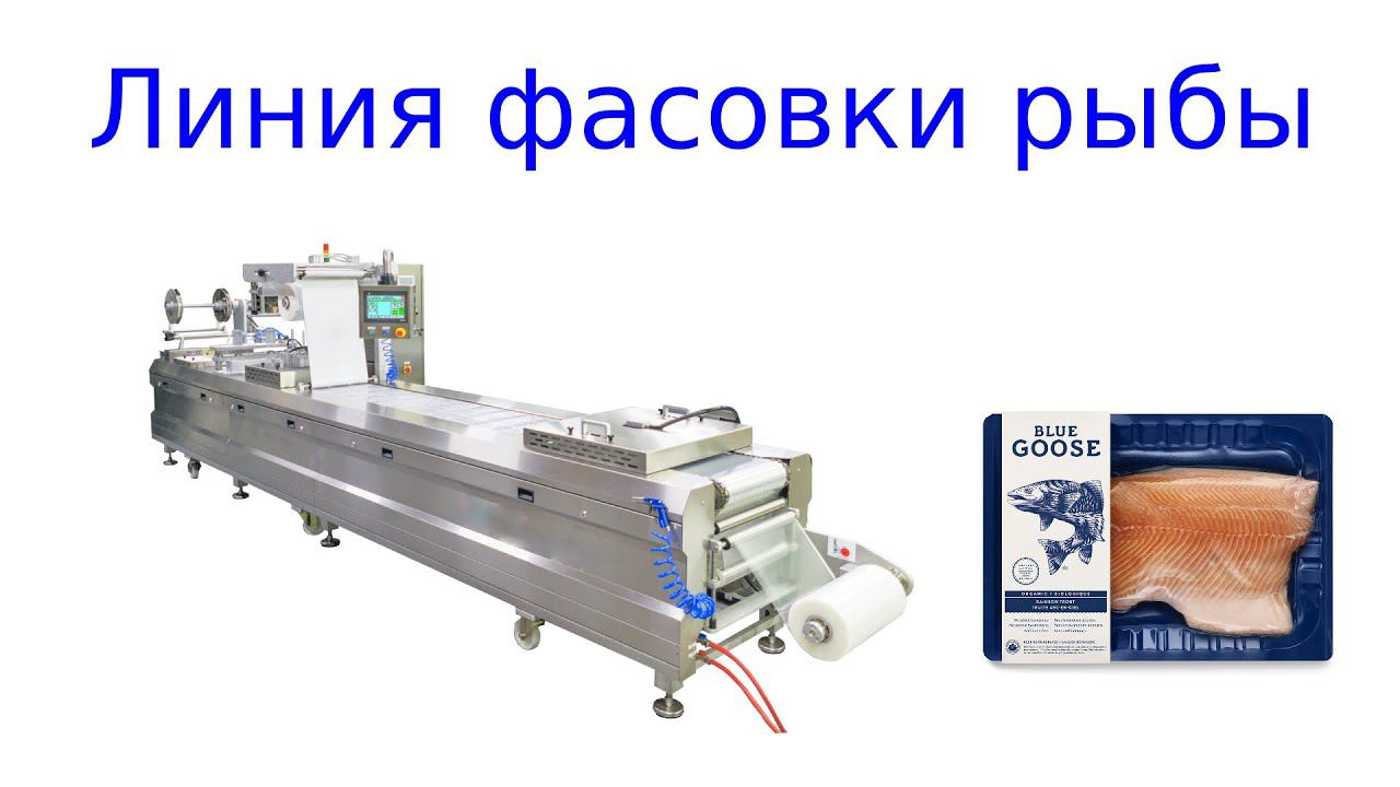 Линия упаковки рыбы | фасовка рыбы