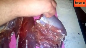 ?Как коптить мясо диких животных? Мясо косули
