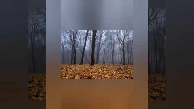 Юная Осень была так красива/Наталия Корякина