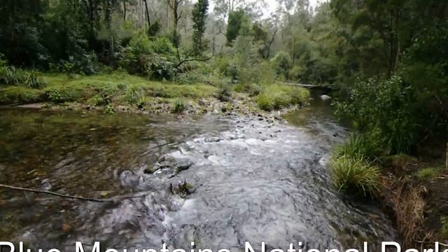 THE GROSE VALLEY. BLUE MOUNTAINS NATIONAL PARK. смотреть онлайн