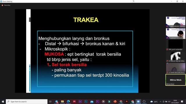 HISTOLOGY SISTEM RESPIRASI смотреть онлайн