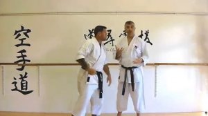 morote uke Bunkai Strategies 2019 week 36 koryu karate oyo jutsu