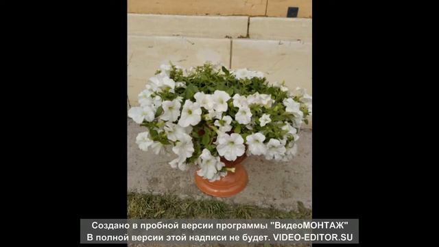 наши растишки смотреть онлайн