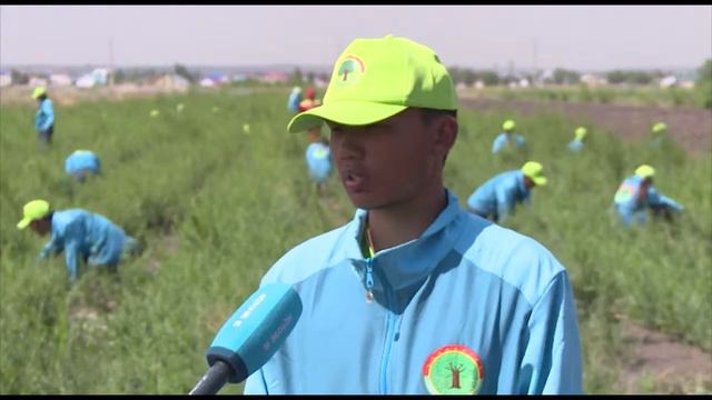 Актобе-2 соц проект Жасыл Ел смотреть онлайн