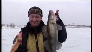 Зимняя ловля судака на Волге.