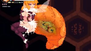 Echidna Wars Full gameplay