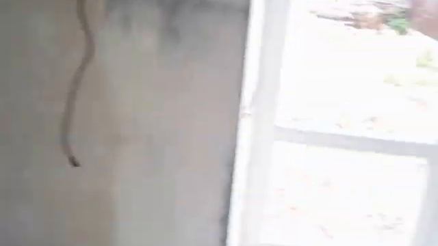 HYVST SPT 390 и обойный клей для секлообоев смотреть онлайн