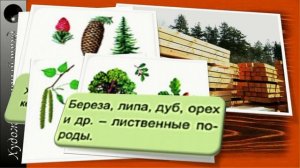 5 класс Конструкционные материалы Исследование видов и свойств материалов