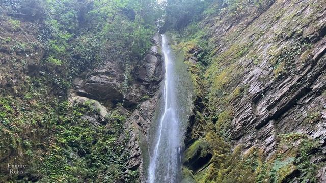 Звуки Природы: Расслабляющий Шум Водопада и Пение Птиц для Крепкого Сна. смотреть онлайн