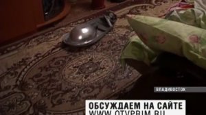 Во Владивостоке Лексус слетел со скалы