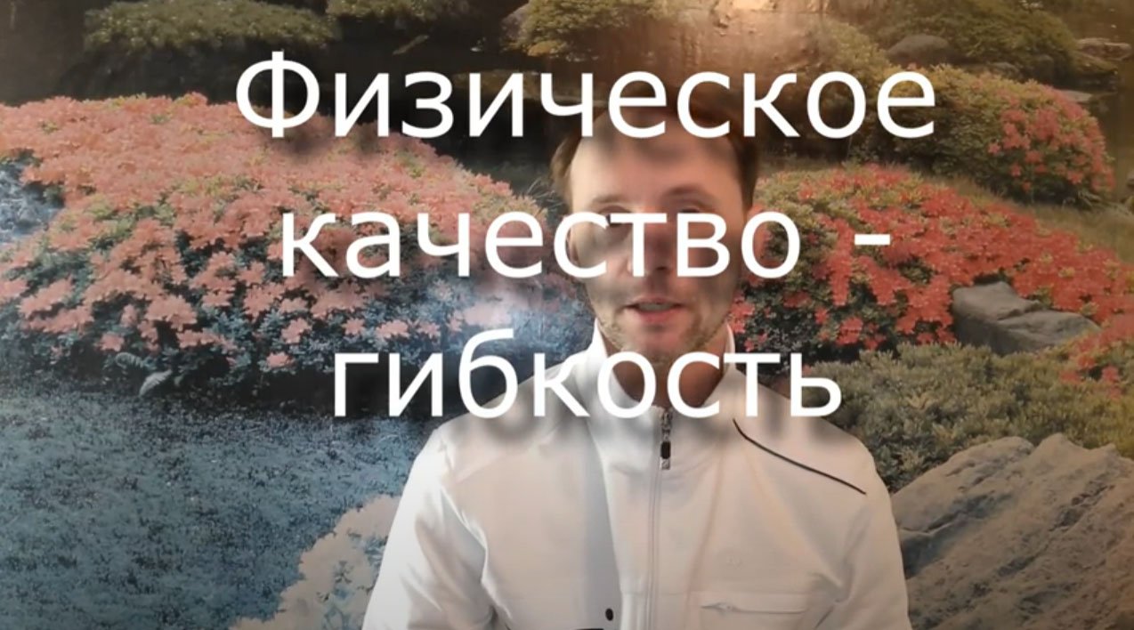 Гибкость - разбираем физическое качество