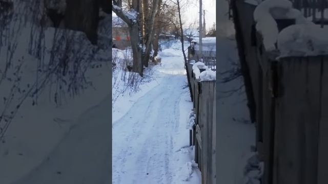 Снегоход из скутера смотреть онлайн