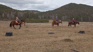 учимся ездить верхом