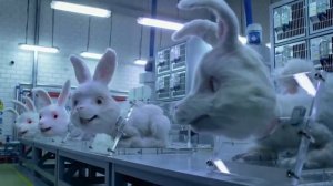 Тестирование косметики на животных. Кролик Ральф