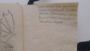 ЛОХМАТЫЙ ВОЙ - МОЯ КНИГА ДРАКОНОВ