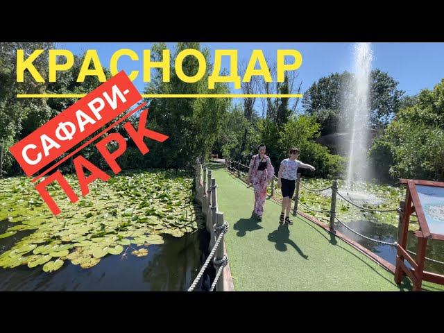 Сафари-парк. Краснодар. 28 июня 2024 г.