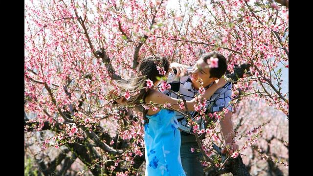 Видео ролик по книге Джудит Макнет Само совершенство смотреть онлайн