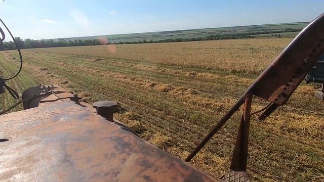 Уборка ячменя 2021 . Дожди идут , сорняки прут , ремни дымят - не можем скосить ячмень . смотреть онлайн