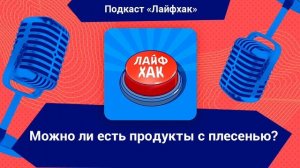 Можно ли есть продукты с плесенью?