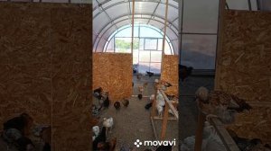 Содержание птицы в теплице