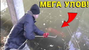 НЕ ОЖИДАЛ что МАГНИТОМ ЦЕПОНУ ТАКОЕ! Потратили День Пока ДОСТАЛИ Находку! В Поисках Клада от Влада!