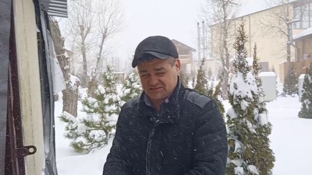 Пеллетный котел Зота Пони, отопление без газа.