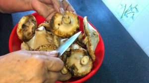 Сырой груздь