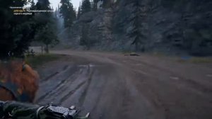 Far Cry 5 ишем медведя