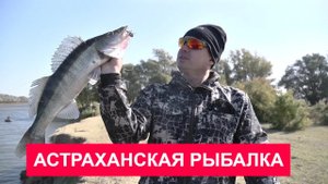 Щуки на Берекете и судаки на Кигаче, азартный джиг в коряжнике