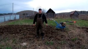 Нева МБ2 и посадка картошки на целине.