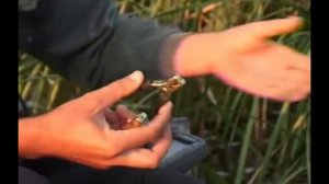 Как быстро привязать лодку к камышу.avi