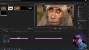 Пресеты для Premiere Pro. Текст. Эффекты. Переходы. #85