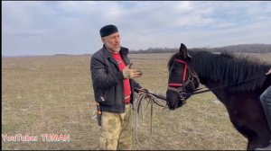 Обьездка Лахиба, Туман, Лошади, рацион .