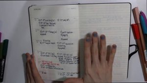 Что в моем ежедневнике MOLESKINE? || MagisterOfBeauty