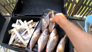 Как просто закоптить окуня. Как коптить рыбу. Простой способ.