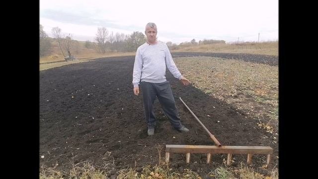 Крупные семена чеснока  Как их вырастить  Посадка семян чеснока под зиму